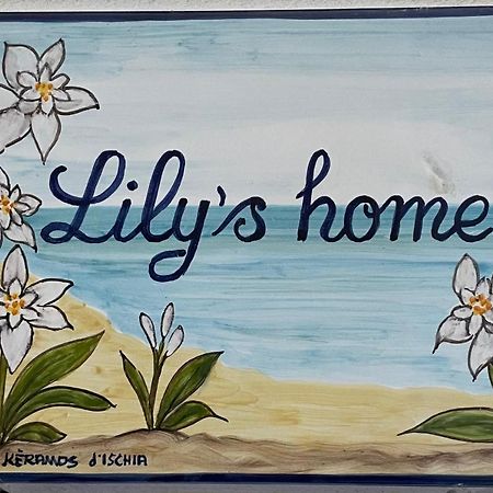 Lily'S Home Lacco Ameno  المظهر الخارجي الصورة
